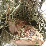 Bed & Breakfast Les Temps Gourmands 3*